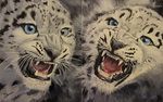 dessin et peinture